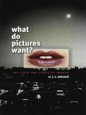 cover image of What Do Pictures Want?